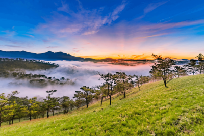 VI VU ĐÀ LẠT MỘNG MƠ