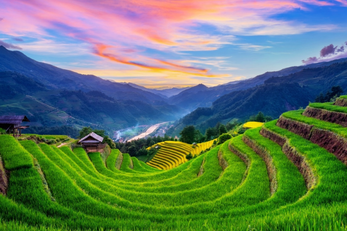 sapa