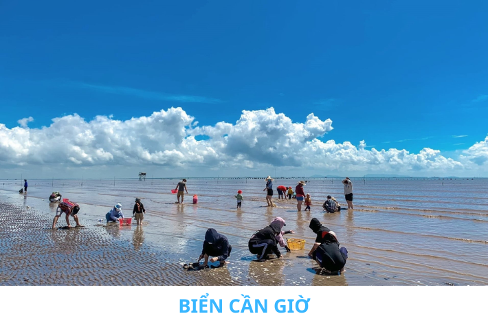 Biển CG