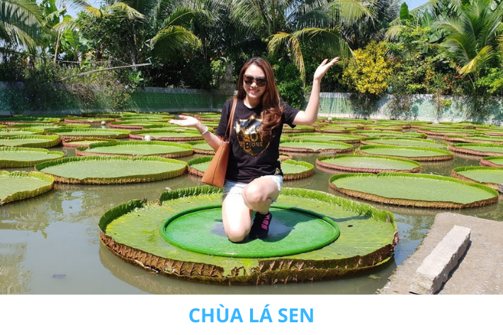 chùa lá sen