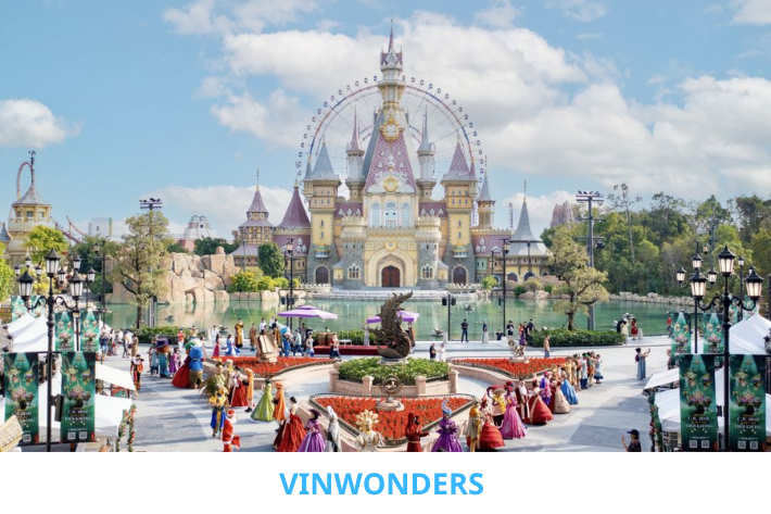 VINWONDER