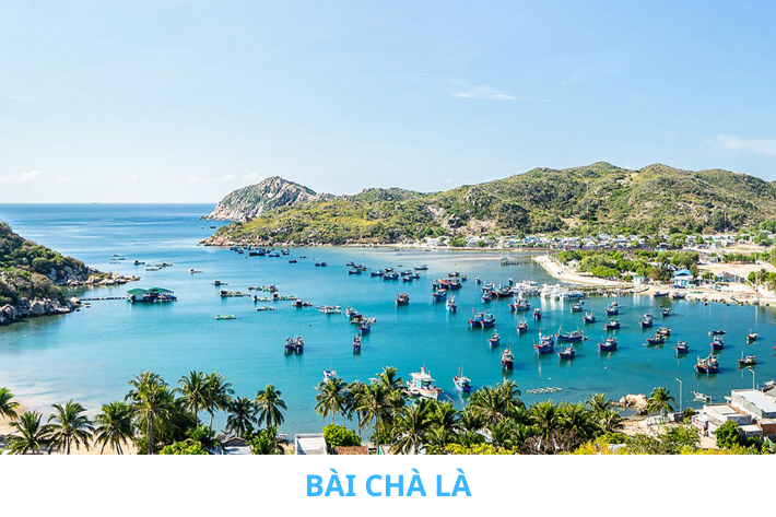 Bãi chà là