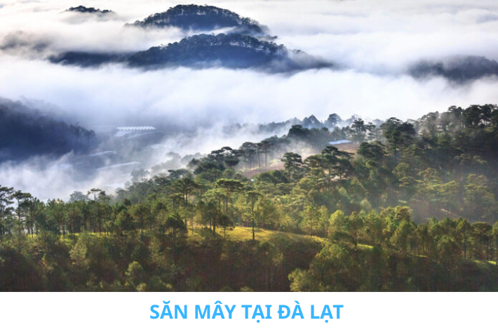 Săn mây