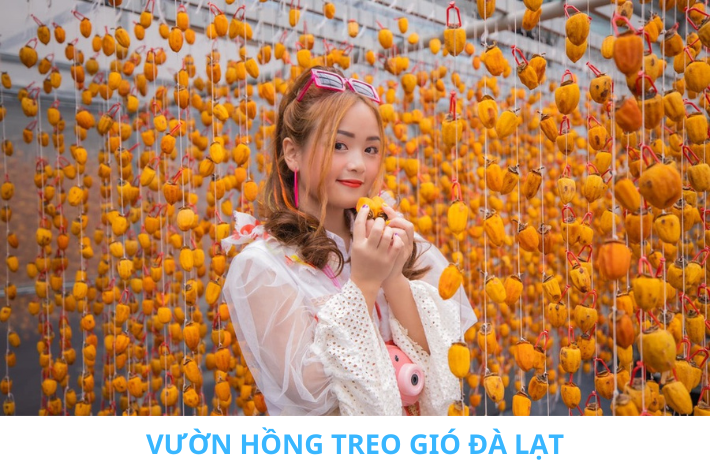 vườn hồng